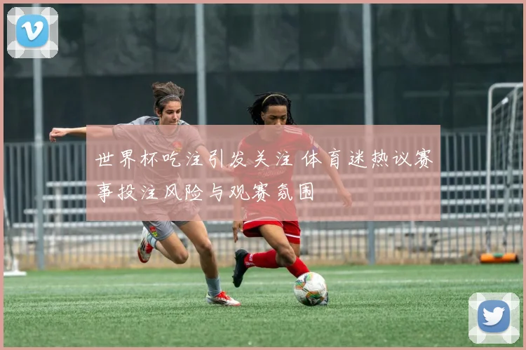 世界杯吃注引发关注 体育迷热议赛事投注风险与观赛氛围