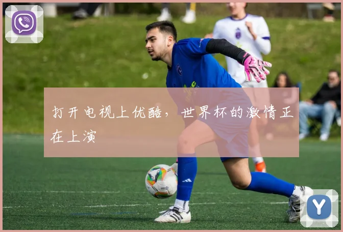 打开电视上优酷，世界杯的激情正在上演