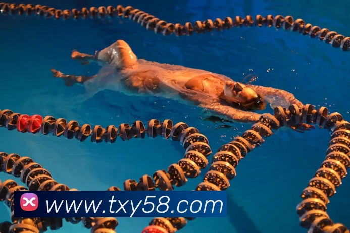 App Interface Preview